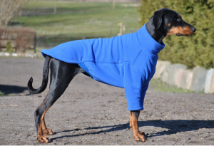 Your Dog Apparel Style Guide