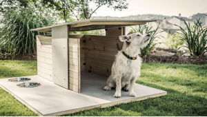 The Best Outdoor Doghouses and Kennels