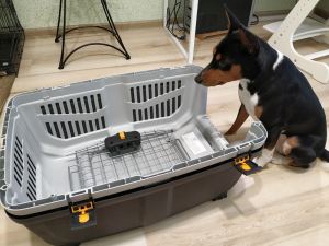 What type of plastic Petmate dog crates are there