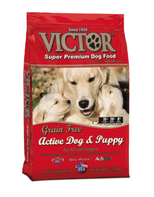 best puppy dog food brand