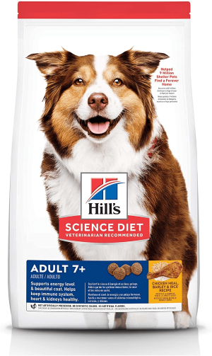 best senior dog food brand