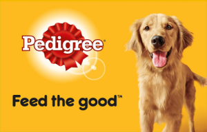 Pedigree Dog Food Review