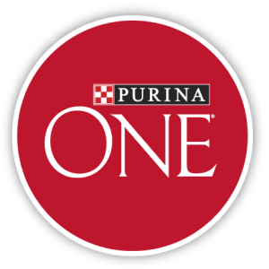 Purina One dog food review