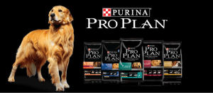 Purina Pro Plan Dog Food Reviews