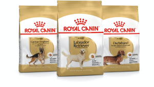 Royal Canin Retail Dog Food Reviews