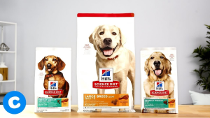 Review Science Diet Dog Food