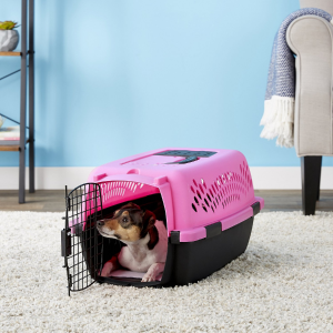 Aspen Pet Dog & Cat Kennel