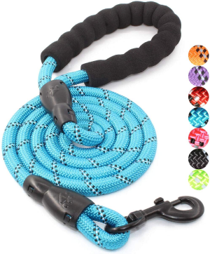 BAAPET 5 FT Strong Dog Leash