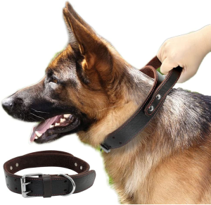 PET ARTIST Genuine Leather Dog Collar