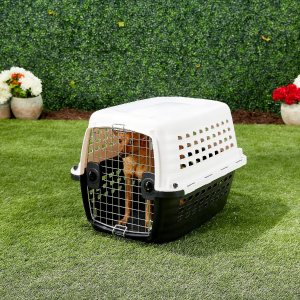 Petmate Compass Dog Kennel