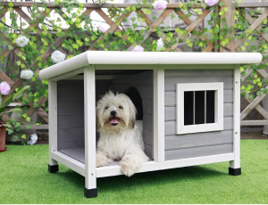 Petsfit Dog House, Dog House Outdoor