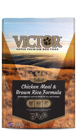 Victor Chicken Meal & Brown Rice