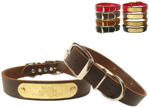 Warner Cumberland Leather Dog Collar