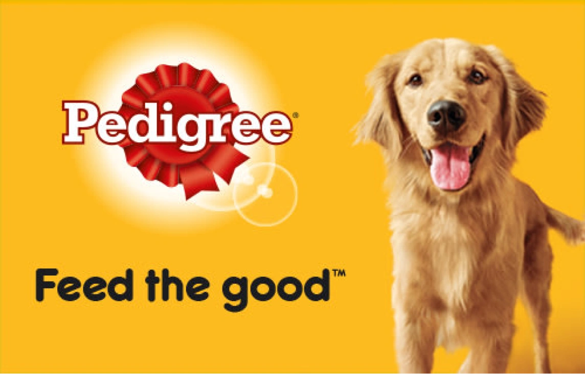 is pedigree dog food good for my dog